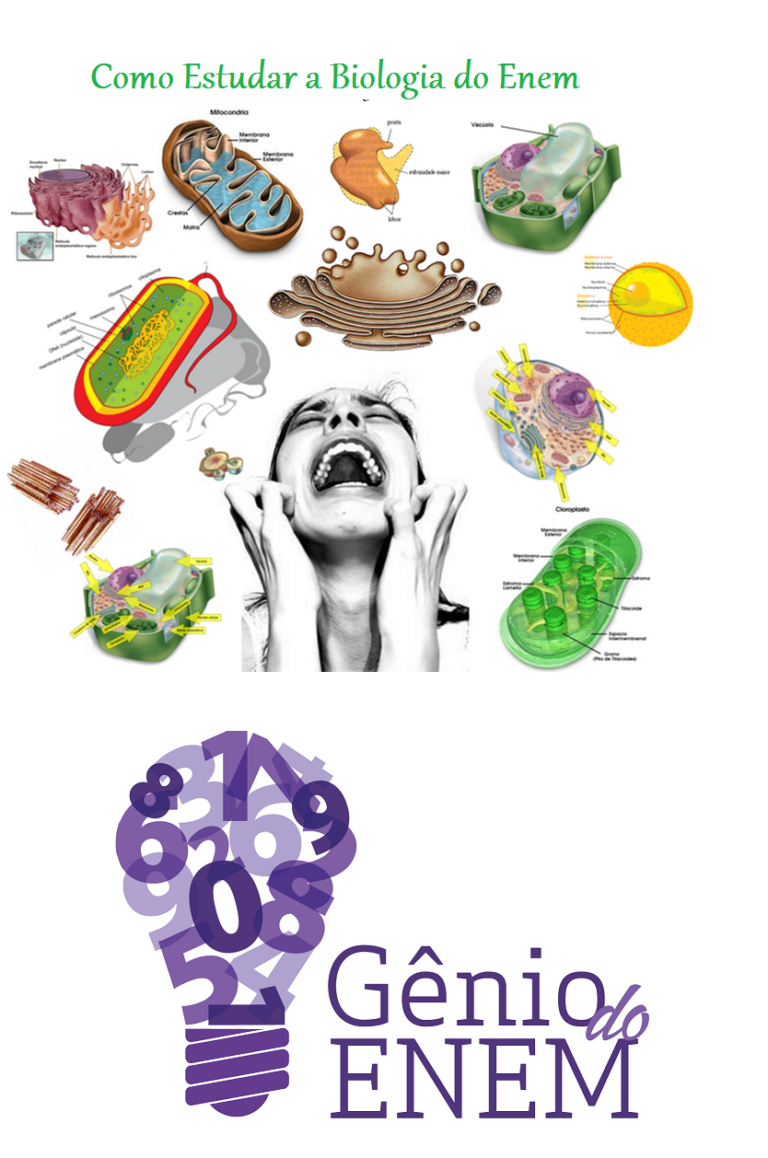 Como Estudar a Biologia  do ENEM