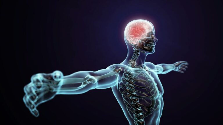 Fisiologia Humana Enem – Resumo para se dar bem!
