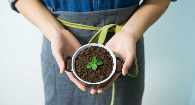 Importância da Ecologia – Biologia para o Enem